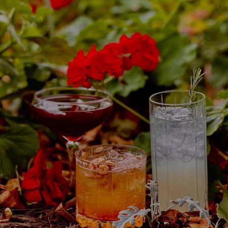 Va Bene Instagram Photo: Cheers! Our fall cocktail menu is out now. Book a table at vabenecaffe.com or stop in at our bar seats to try something new 🍁